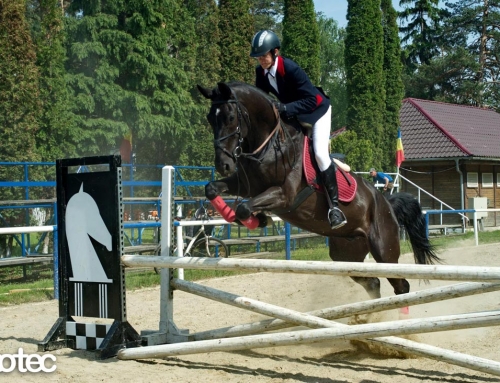 Baza Hipică Piatra Neamţ