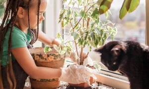 www.izotec.ro închiderea balconului cu termopan
