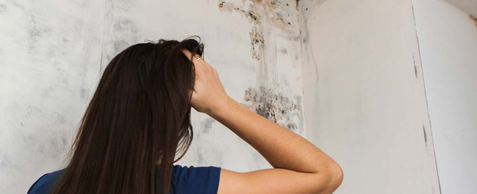 cum scapi de mucegai