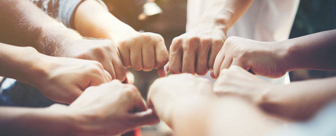 intermediar materiale de constructii izotec